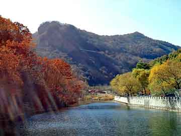 新澳天天开奖资料大全旅游团，都市言情小说排行榜前10名